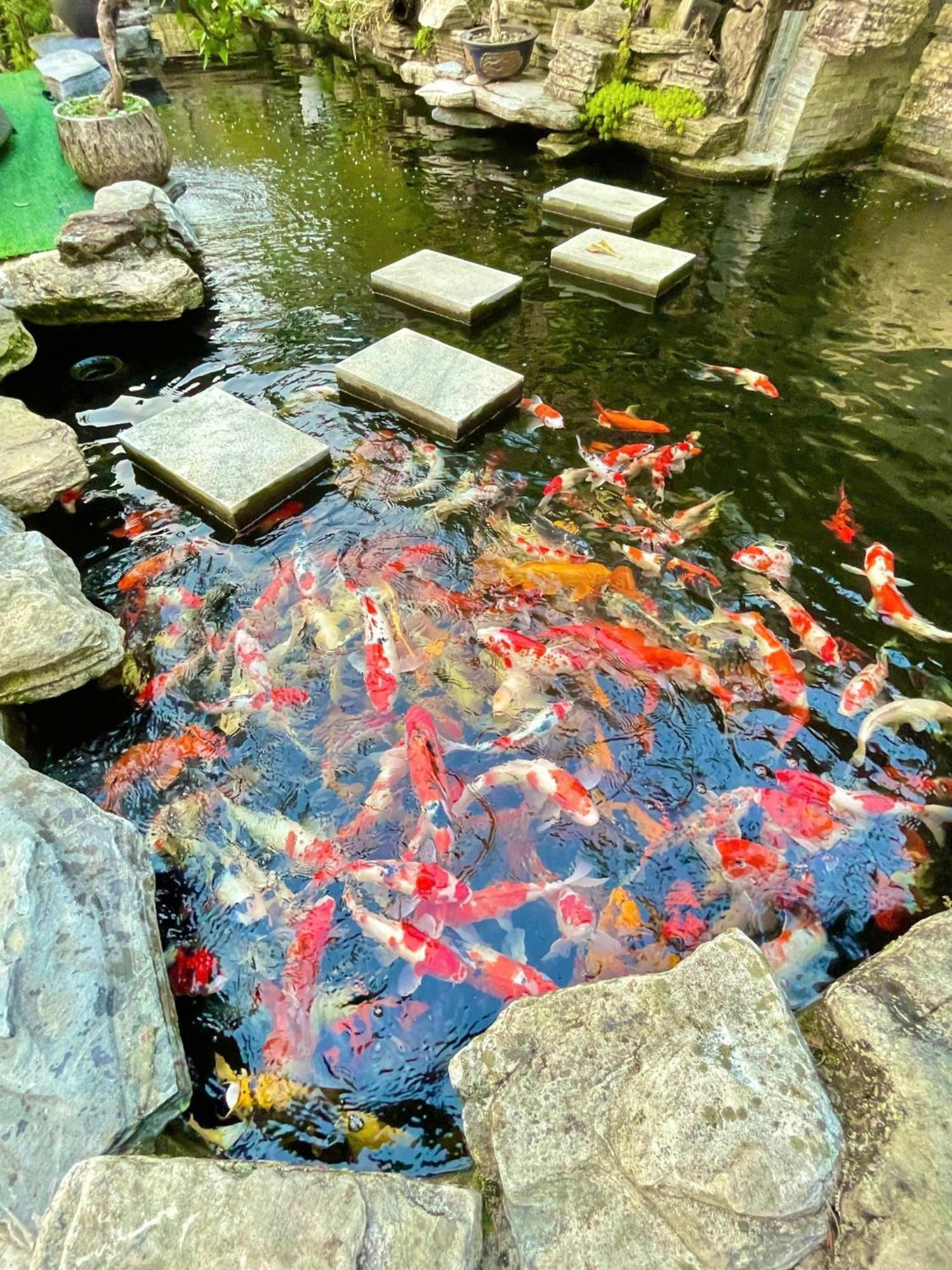 Chuon Chuon Villa Homestay Tam Ðảo Kültér fotó