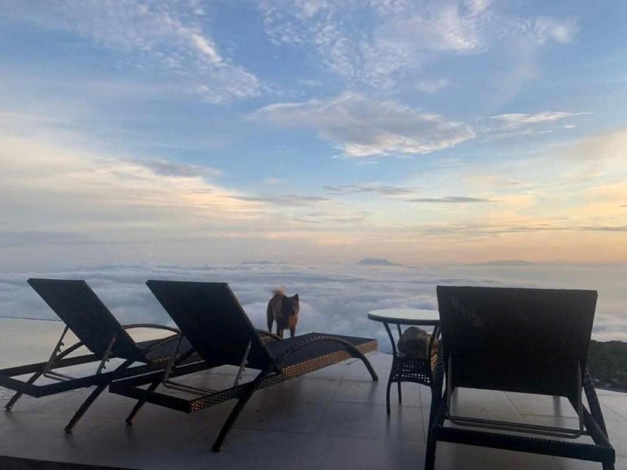 Chuon Chuon Villa Homestay Tam Ðảo Kültér fotó